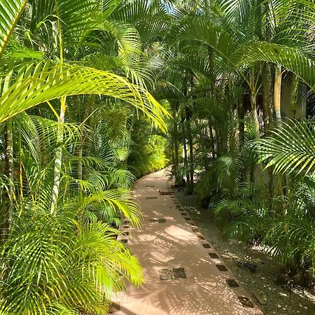 Chalet Tropical Au Coeur De Las Terrenas Eksteriør billede