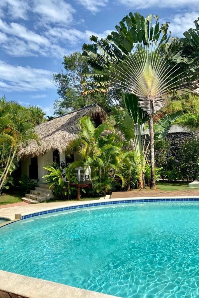Chalet Tropical Au Coeur De Las Terrenas Eksteriør billede
