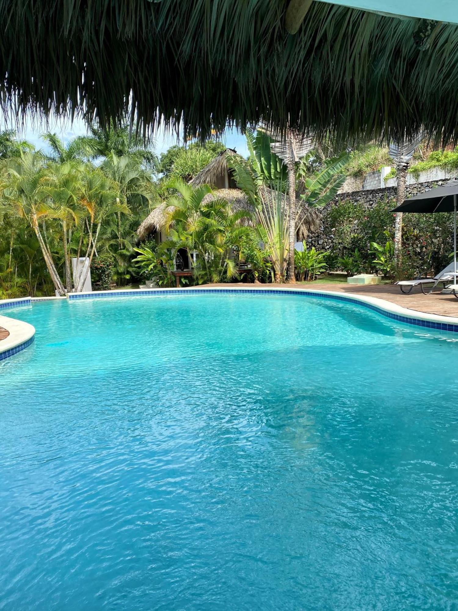 Chalet Tropical Au Coeur De Las Terrenas Eksteriør billede